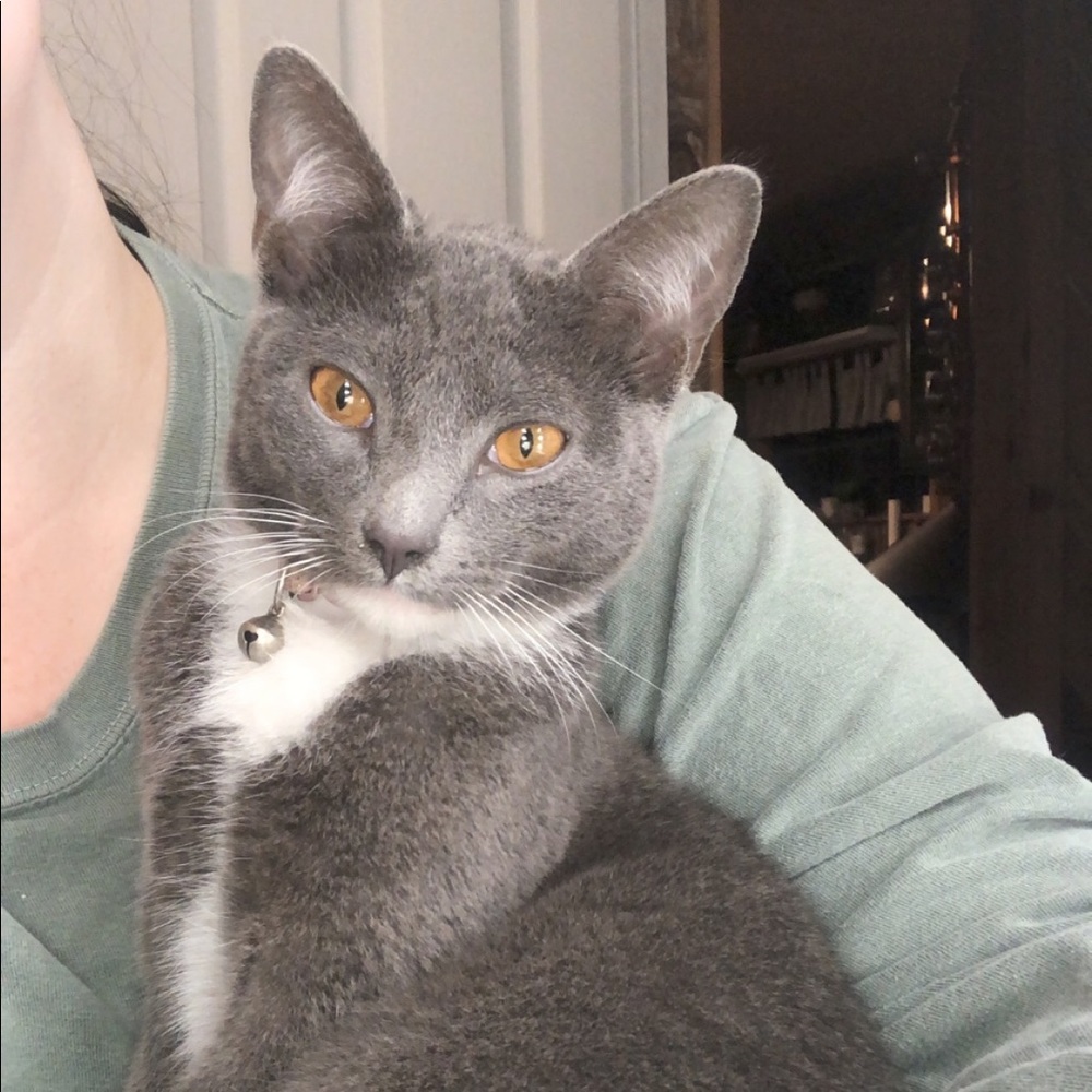 Meet your Posher, Dominique